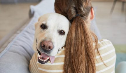 Cómo saber si mi perro me considera su amo: ¡Descubre las señales!